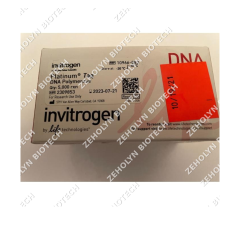 Platinum Taq DNA Polymerase