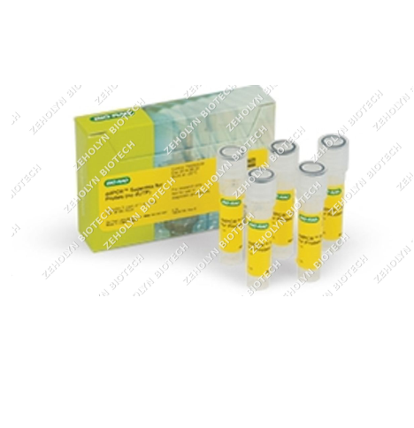 ddPCR Supermix for Probes