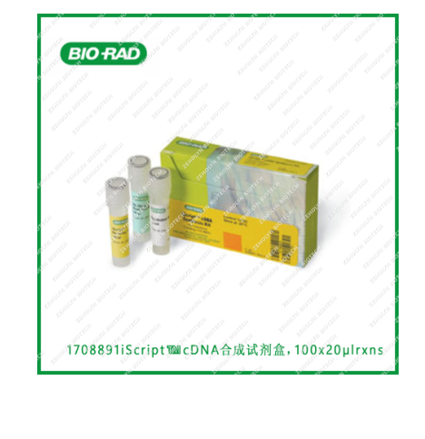 iScript cDNA Synthesis Kit