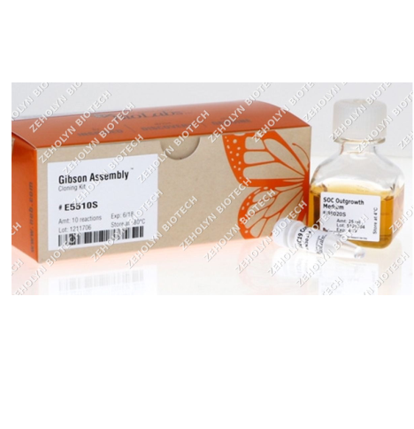 TOPO TA Cloning Kit