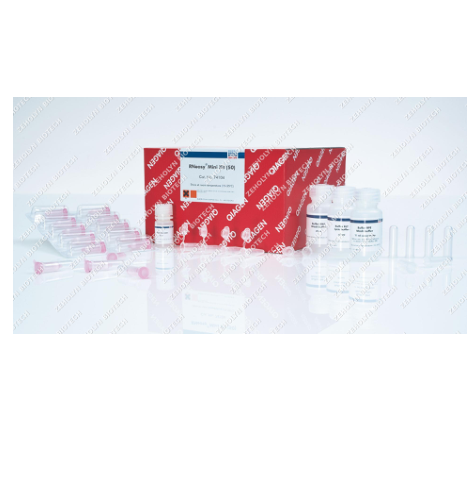 RNeasy Mini Kit
