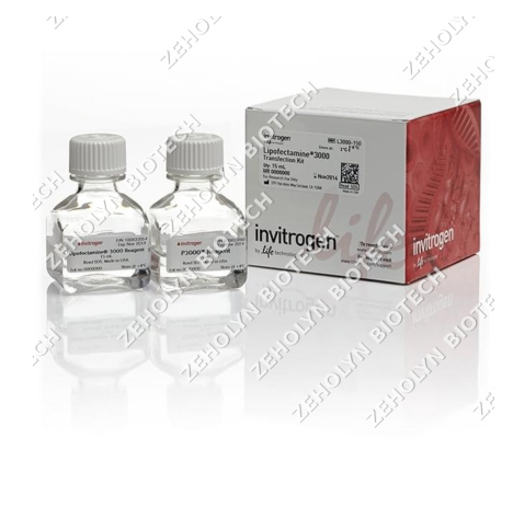 GelRed Nucleic Acid Gel Stain