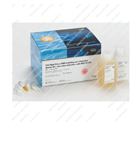 DIG DNA Labeling and Detection Kit