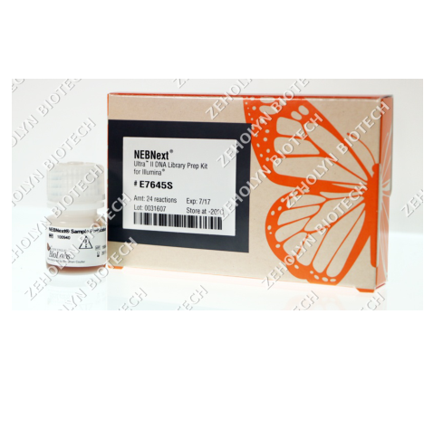 NEBNext Ultra II DNA Library Prep Kit