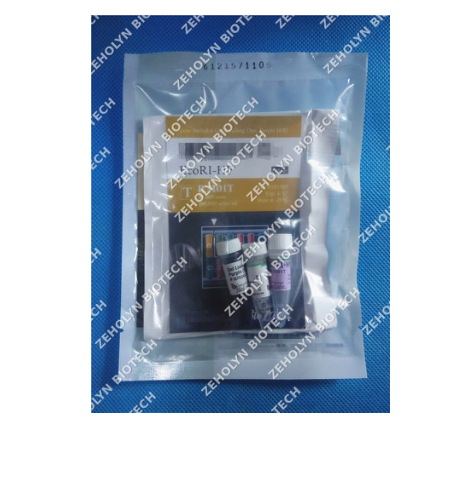 EcoRI-HF Restriction Enzyme