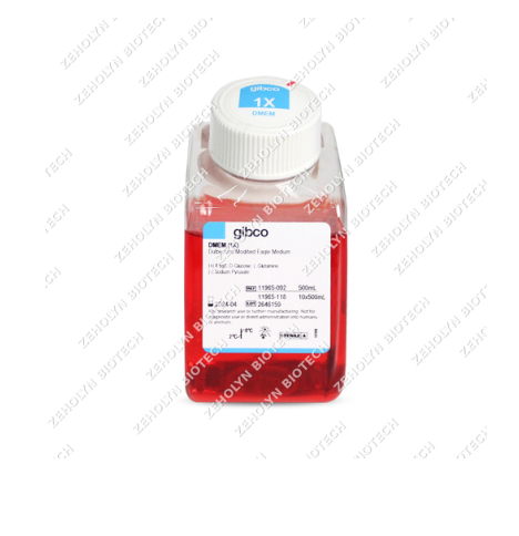 DMEM (High Glucose)