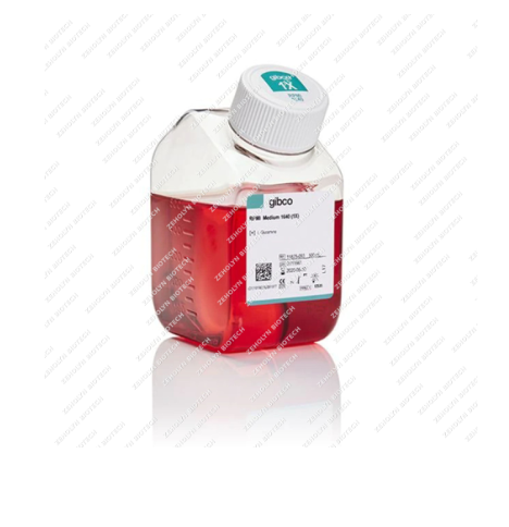 RPMI 1640 Medium