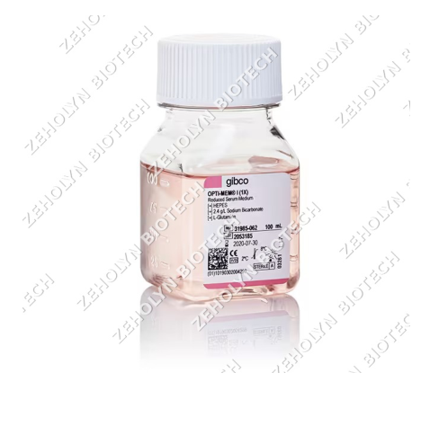 Opti-MEM I Reduced Serum Medium