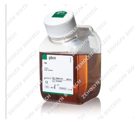 Fetal Bovine Serum (FBS)