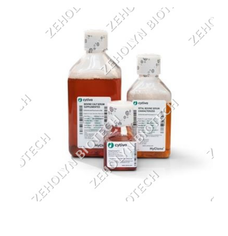 Fetal Bovine Serum