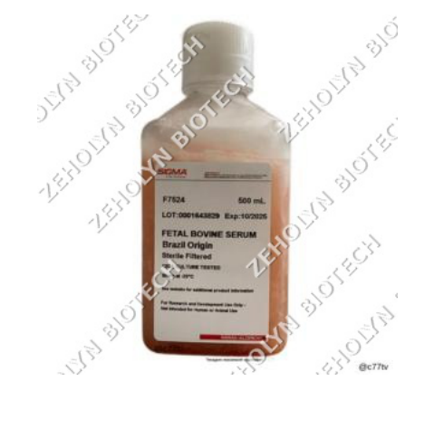 Fetal Bovine Serum