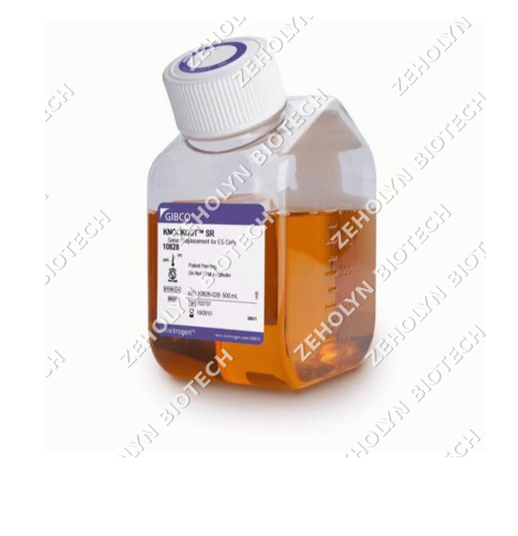 KnockOut Serum Replacement