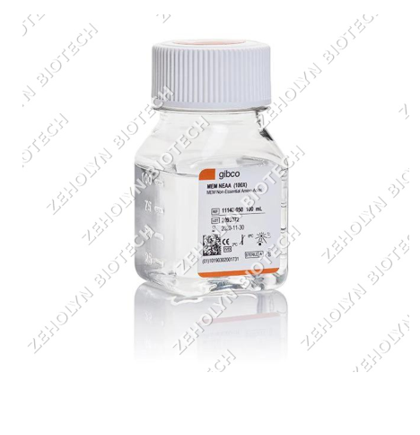 Non-Essential Amino Acids (100X)