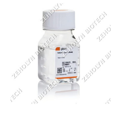 Sodium Pyruvate (100mM)