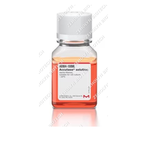 Accutase Cell Detachment Solution