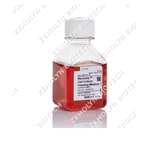 Recovery Cell Culture Freezing Medium