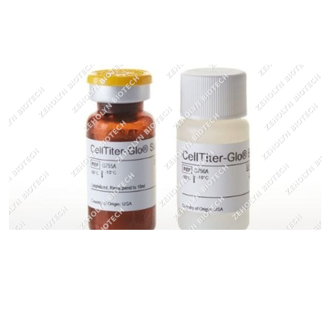 MTT Cell Proliferation Assay Kit