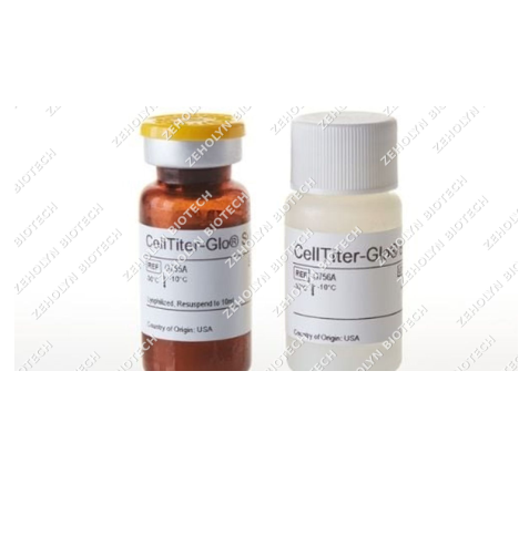 CellTiter-Glo Luminescent Cell Viability Assay