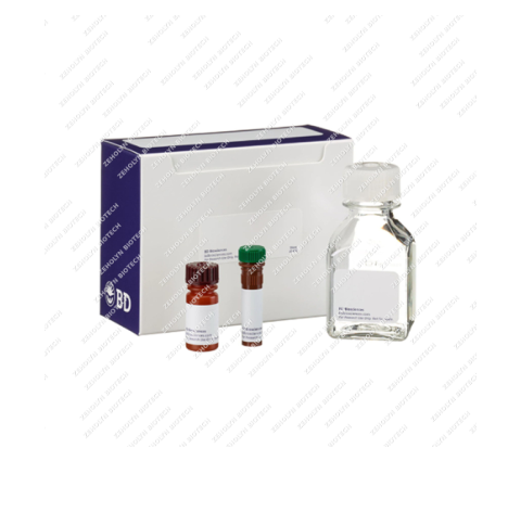 Annexin V-FITC Apoptosis Detection Kit