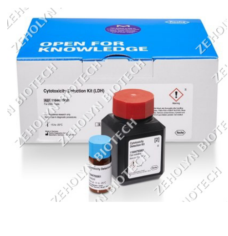 Caspase-3 Activity Assay Kit