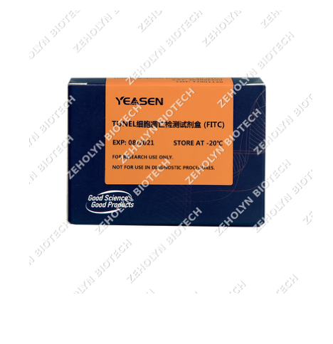 TUNEL Apoptosis Detection Kit