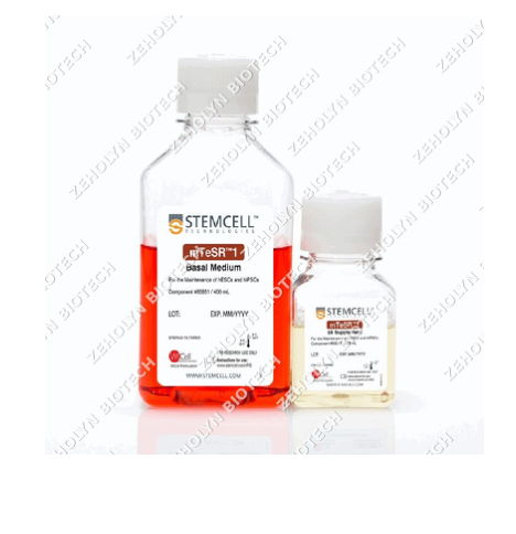 mTeSR1 Stem Cell Medium
