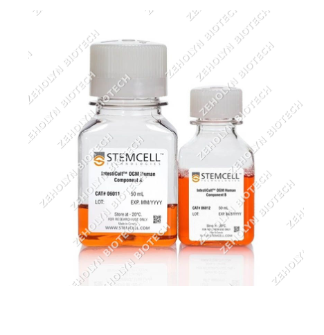 Recombinant Human LIF