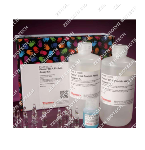 Pierce BCA Protein Assay Kit