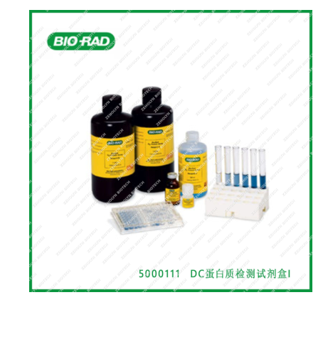 DC Protein Assay Kit