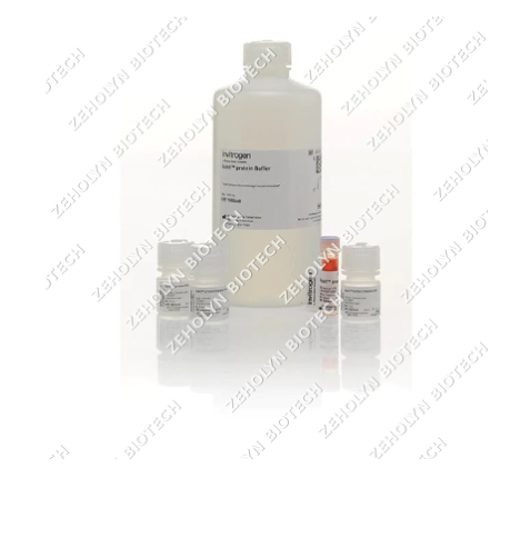 Qubit Protein Assay Kit