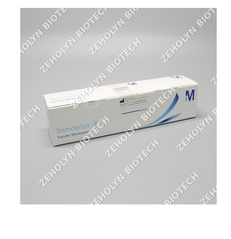 PVDF Transfer Membrane (0.45μm)