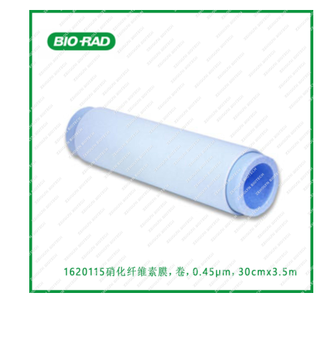Nitrocellulose Membrane (0.45μm)