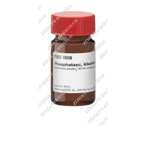 Alkaline Phosphatase (AP)