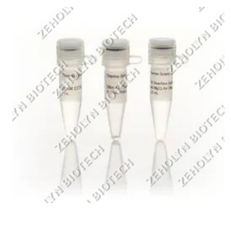 DNase I (RNase-Free)