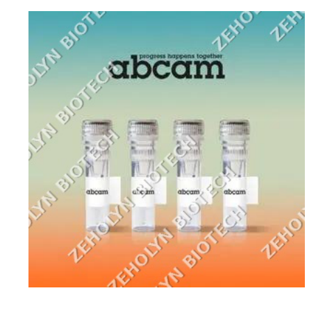 Anti-beta Actin antibody [mAbcam 8226]