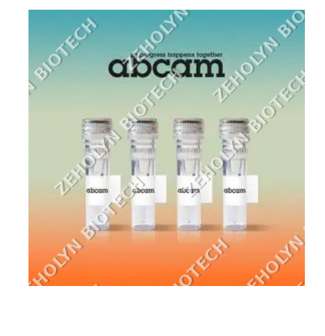 Anti-GAPDH antibody [6C5]