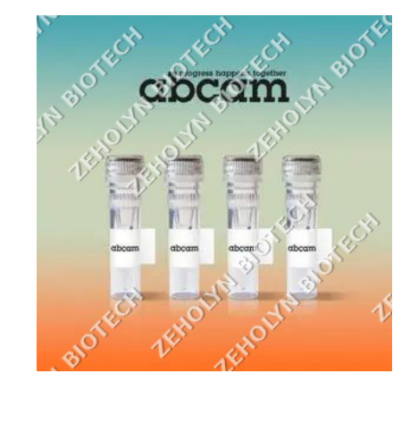 Anti-GAPDH antibody [EPR6256]