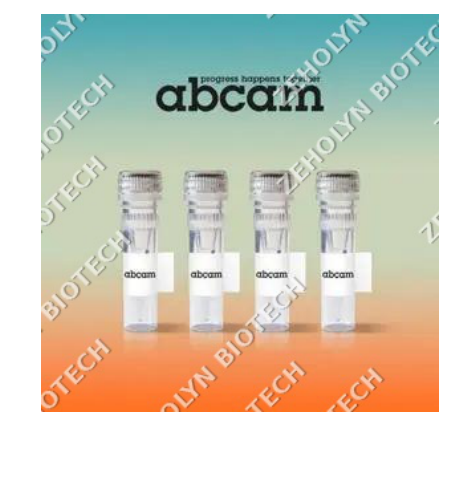 Goat Anti-Rabbit IgG H&L; (HRP)