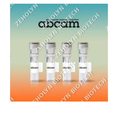 Goat Anti-Mouse IgG H&L; (HRP)