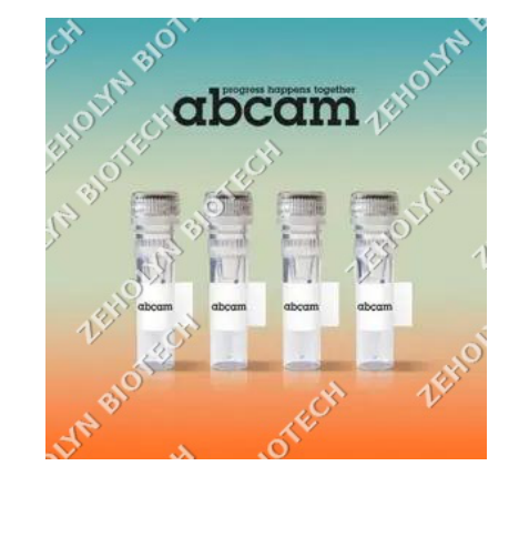 Goat Anti-Rabbit IgG (H+L) Cross-Adsorbed Secondary Antibody, Alexa Fluor 488