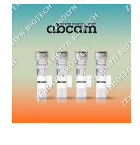 Goat Anti-Mouse IgG (H+L), Alexa Fluor 594
