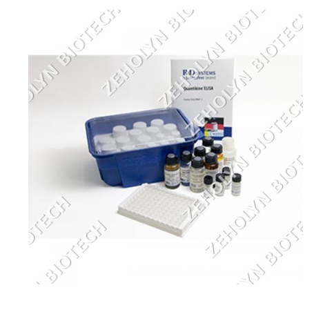 Human VEGF Quantikine ELISA Kit