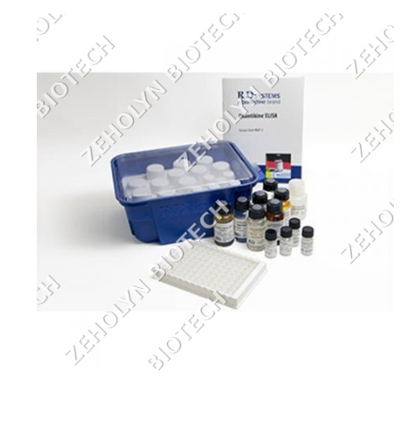 Human IL-6 Quantikine ELISA Kit