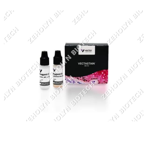 VECTASTAIN Elite ABC HRP Kit