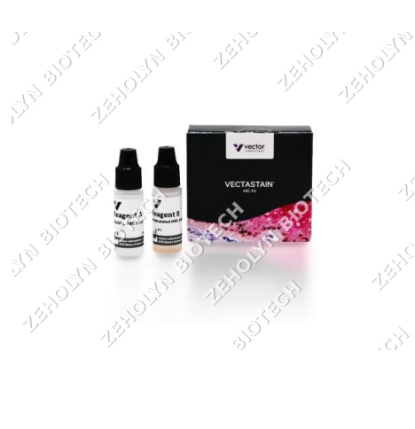 DAB Substrate Kit