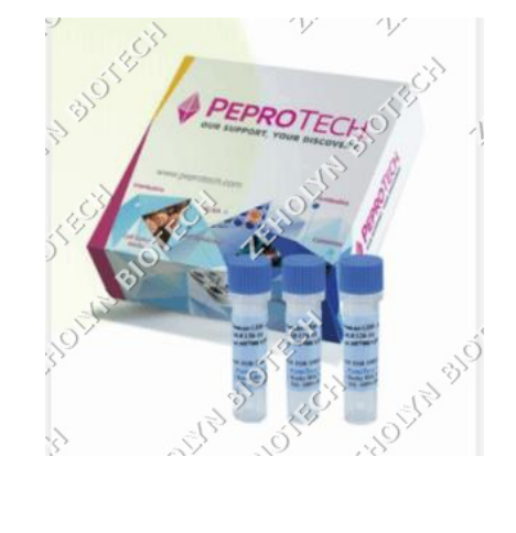 Recombinant Human IL-2