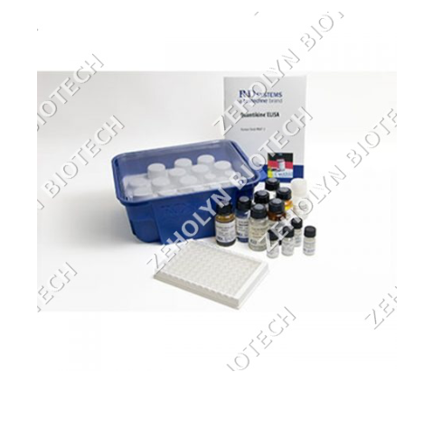 Recombinant Human TNF-alpha