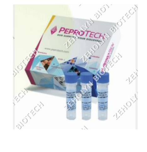 Recombinant Human IL-6