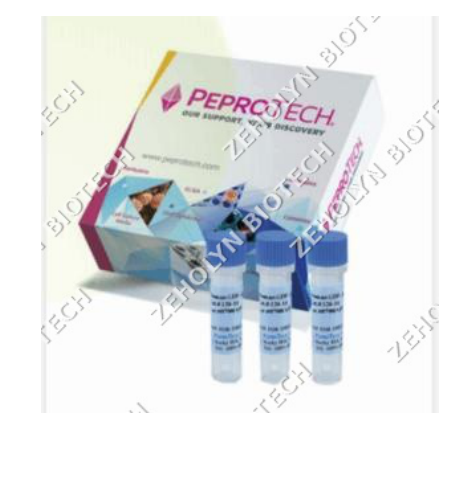 Recombinant Human IFN-gamma