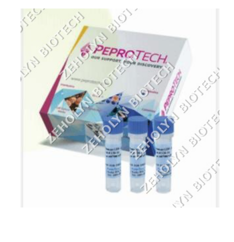 Recombinant Human IL-4